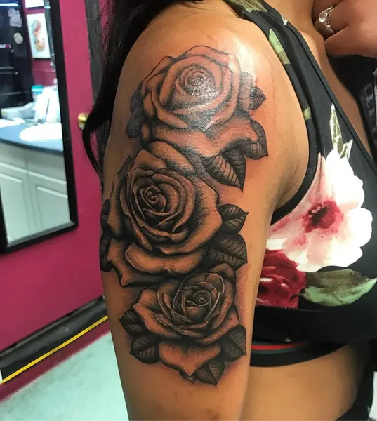 Flower, Rose, Nature
