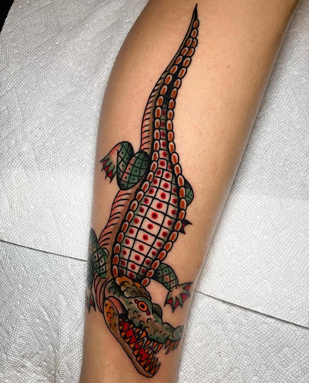 Dragon, 악어, 도마뱀