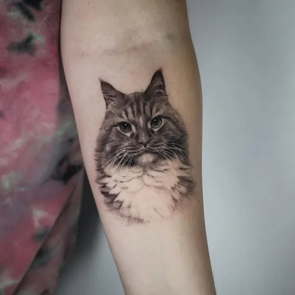 Animal