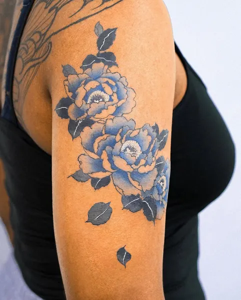Flower, Rose, Nature