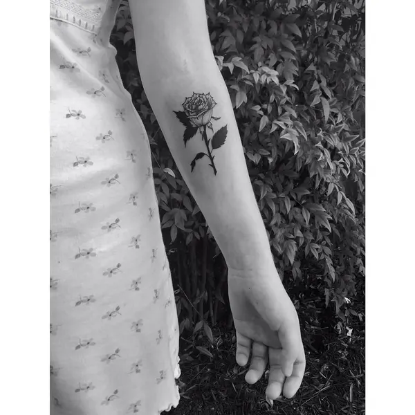 Flower, Rose