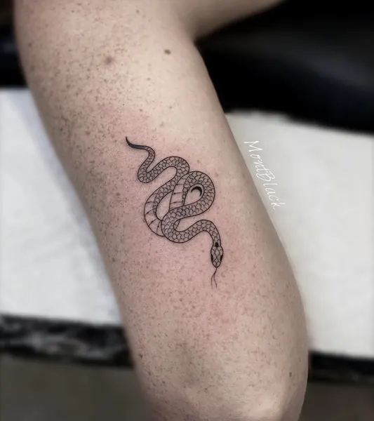 Dragon, Snake