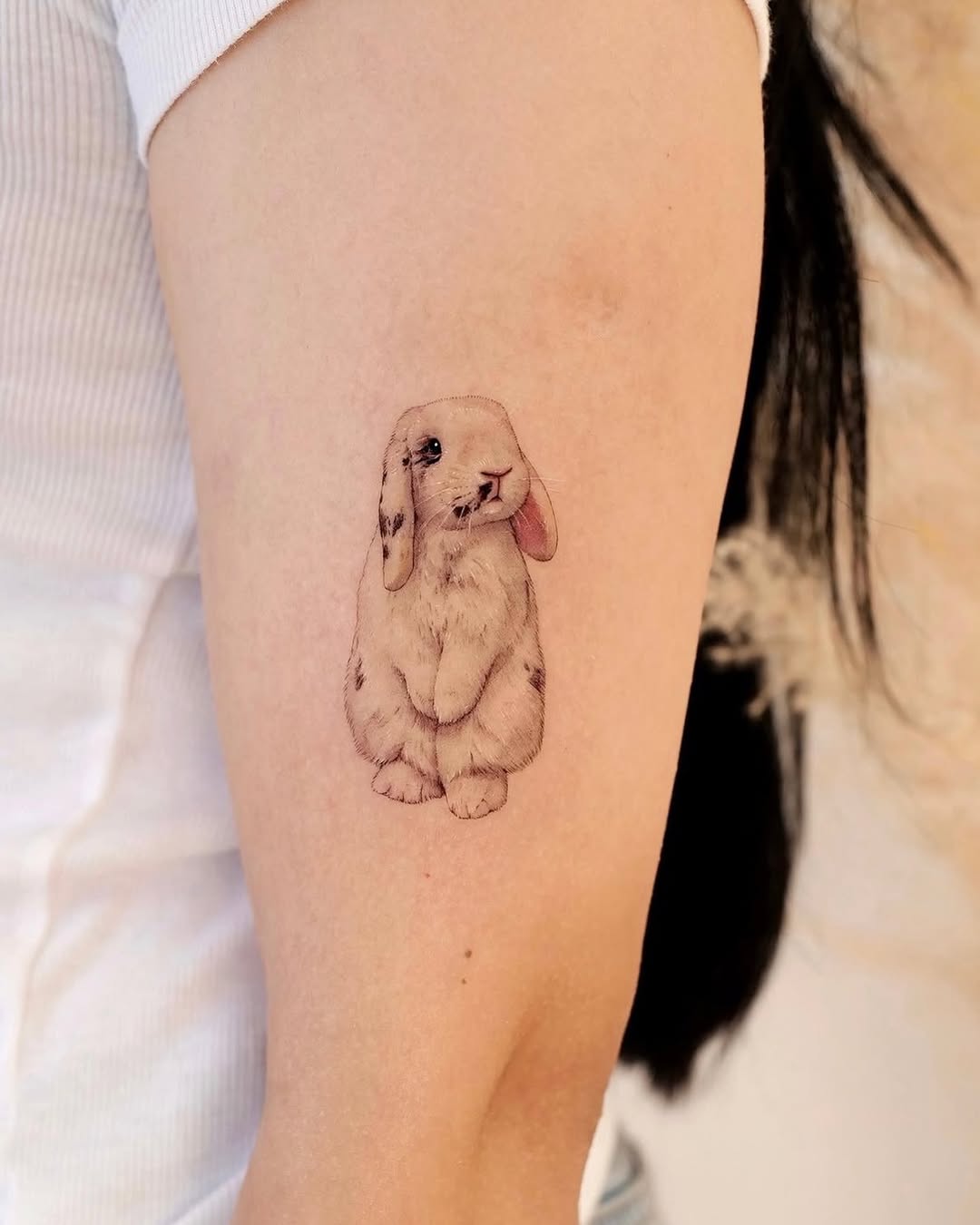 양, Animal, 토끼, 나무늘보, 반려동물, 염소, 텐구, 펭귄, 다람쥐, Mini