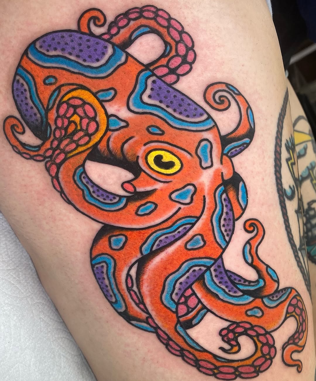 Animal, Dragon, 문어, 오징어