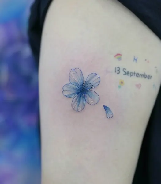 Flower, Rose, 모란