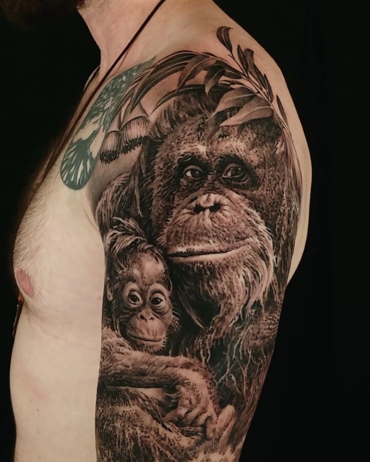 Tiger, Animal, 원숭이