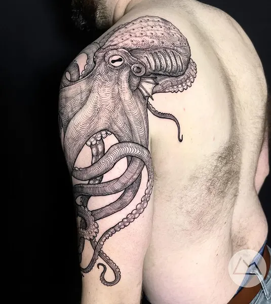 Animal, Dragon, 케르베로스