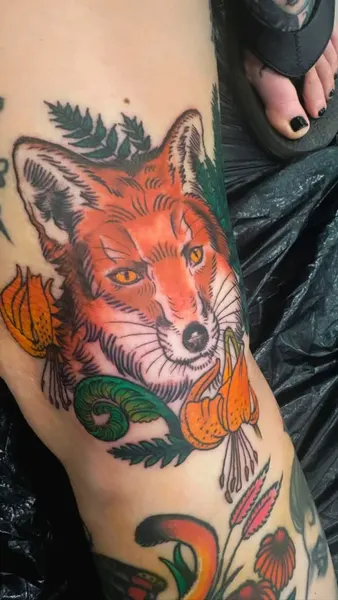 Animal, 여우