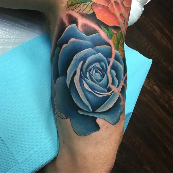 Flower, Rose