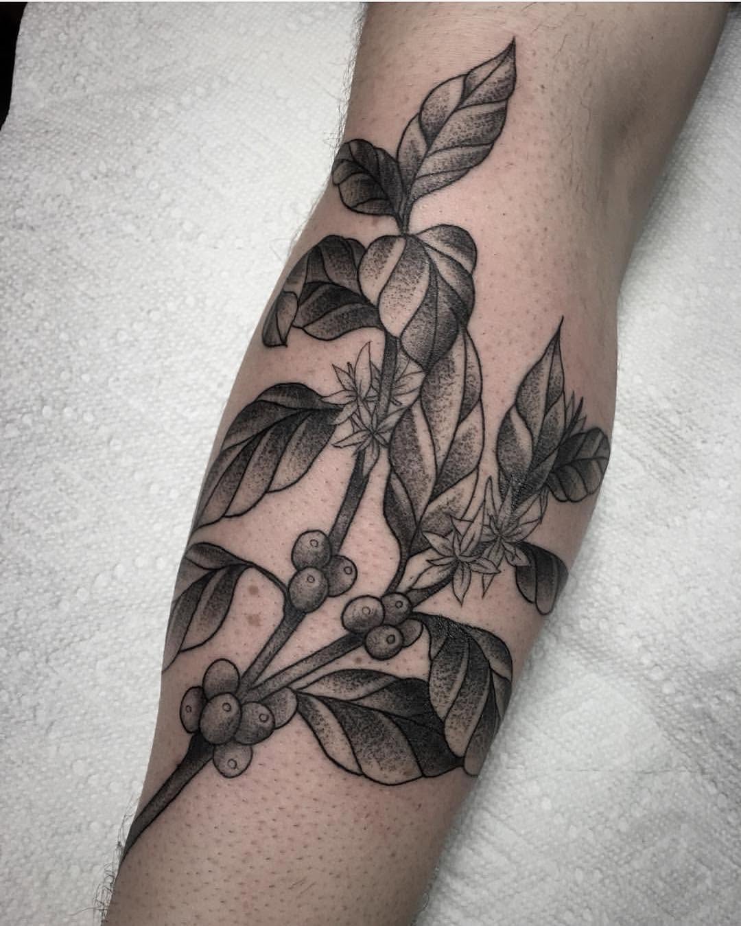 Rose, Flower