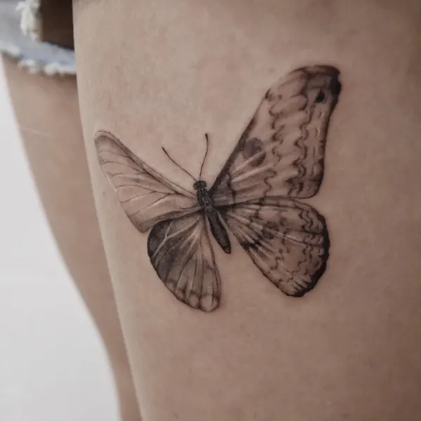 Animal, Nature, 나방, 매미, 잠자리, 요정, 동백꽃