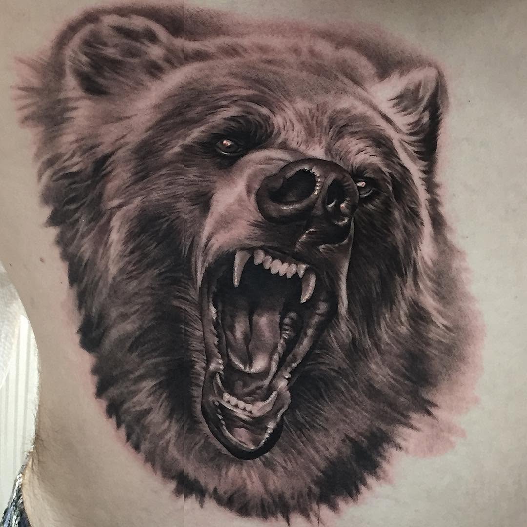 Animal, 곰