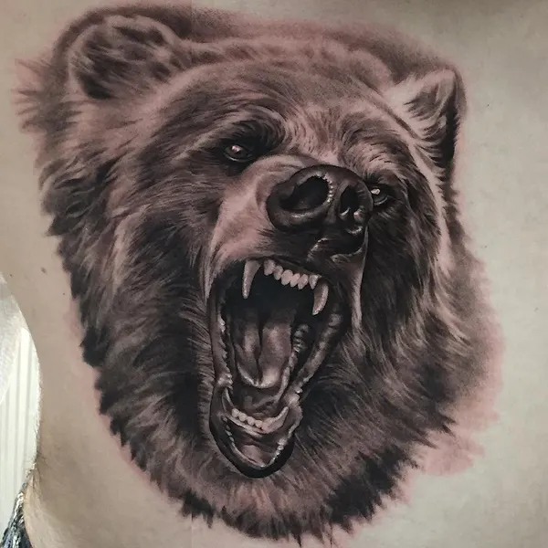 Animal, 곰