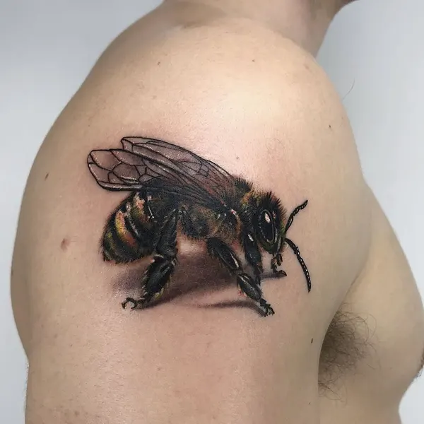 Animal, 벌