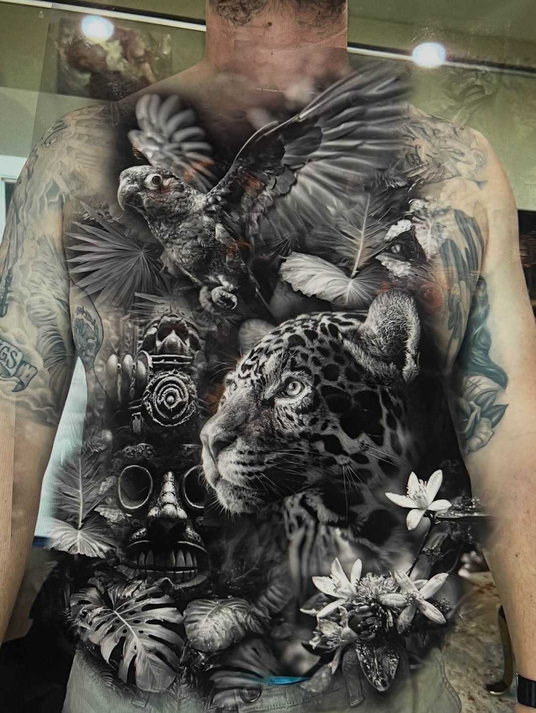 Animal