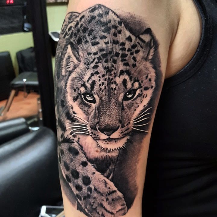 Animal, 치타, 표범, 재규어