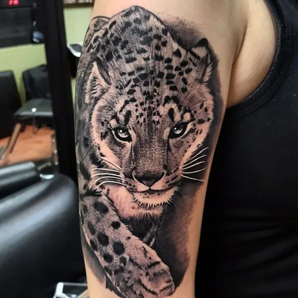 Animal, 치타, 표범, 재규어