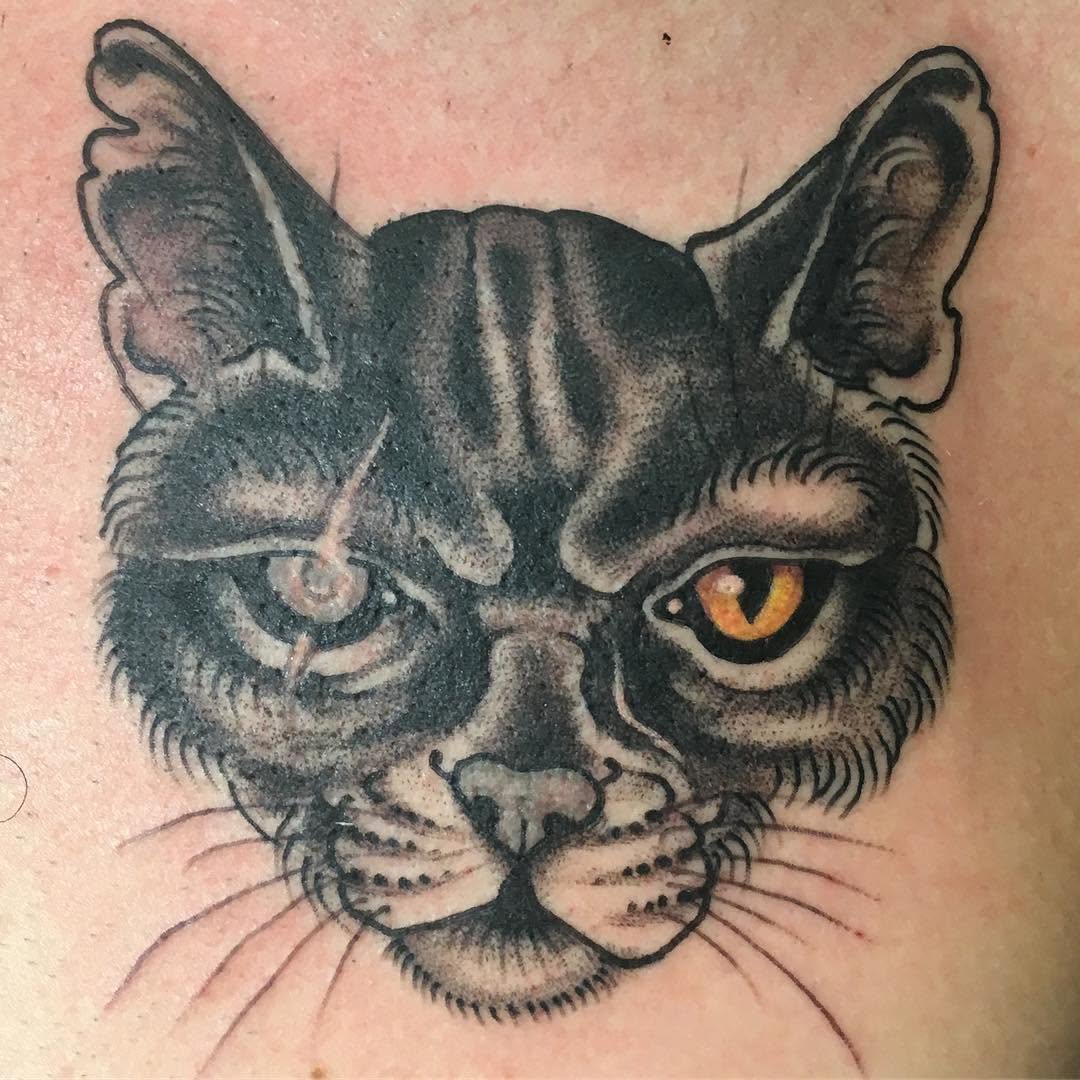 Tiger, 팬서