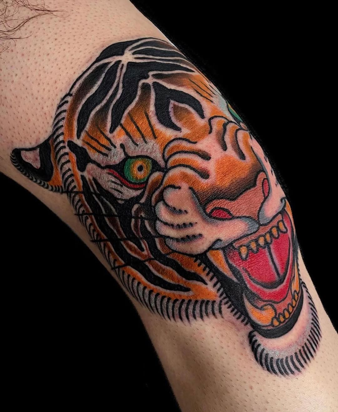 Tiger, 일본 호랑이, 중국 호랑이, 한국 호랑이