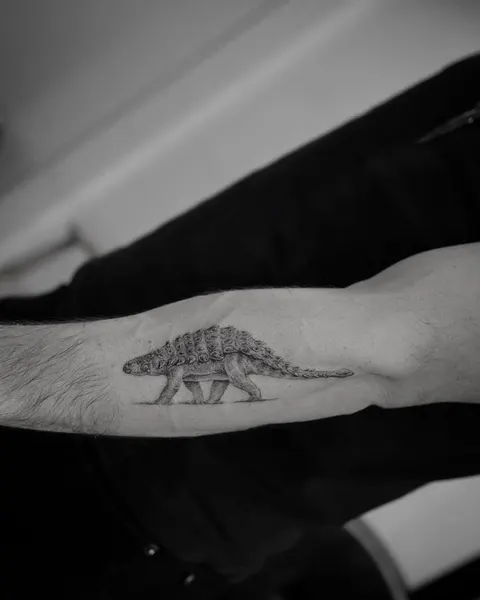 Dragon, 악어, 거북이, 도마뱀, 바다거북