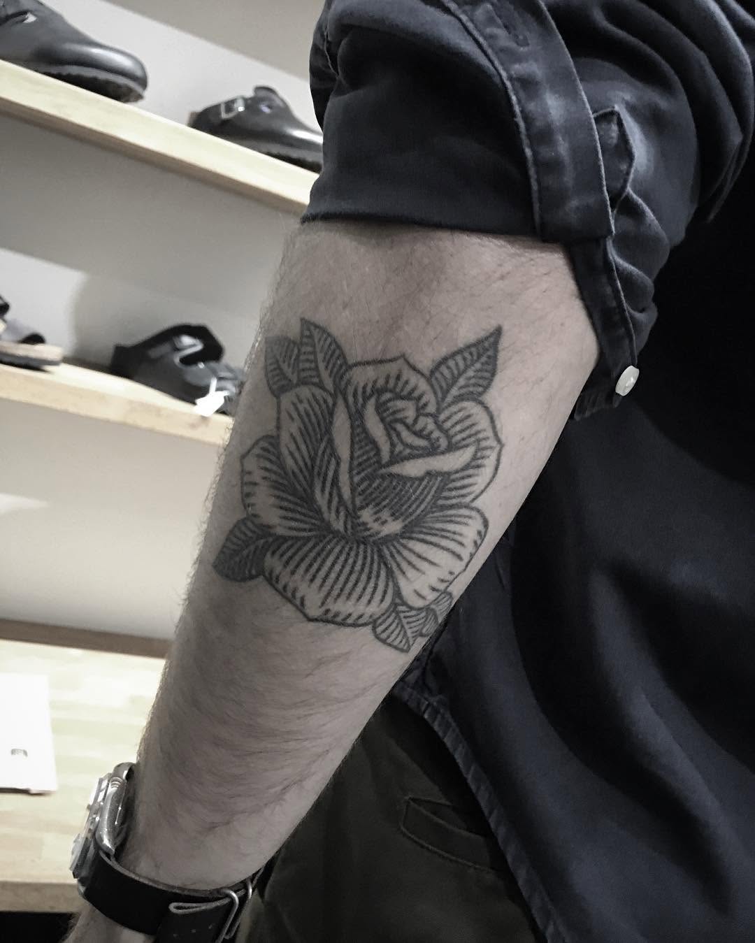 Flower, Rose