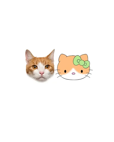 Mini, 마네키네코