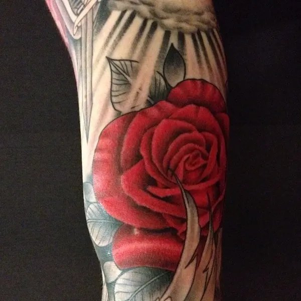 Flower, Rose