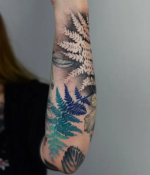 Flower, 산호, 고사리