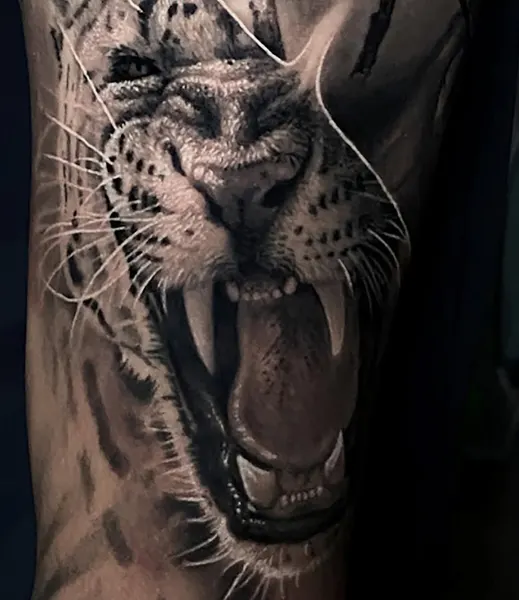 Tiger
