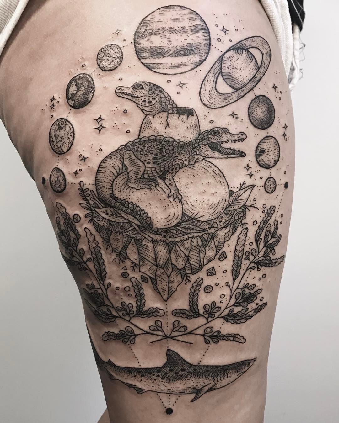 Dragon, 악어