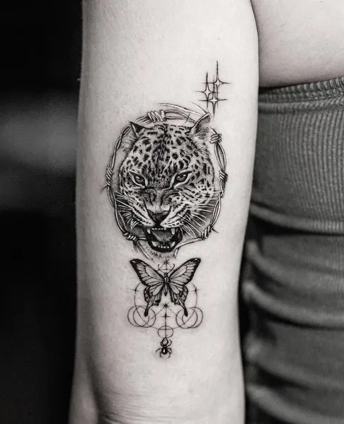 Animal, Tiger