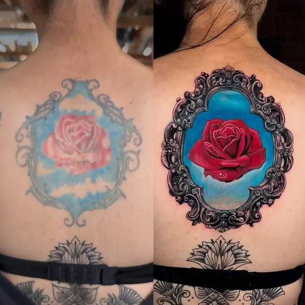 Flower, Rose, Nature