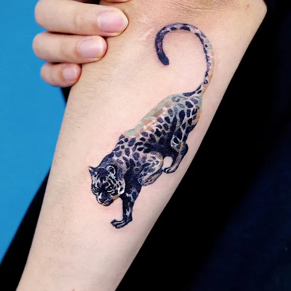Tiger, Animal, 표범, 팬서, 치타