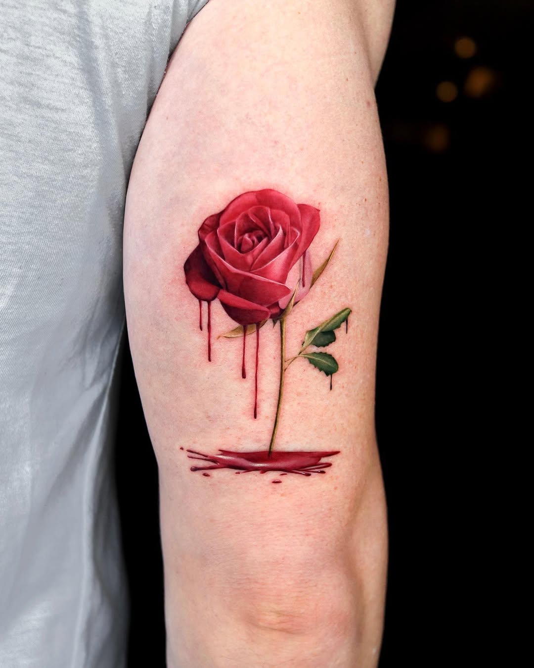 Flower, Rose, Nature