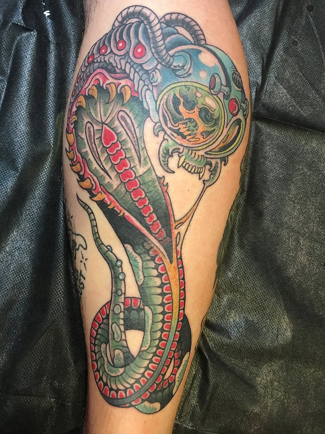 Dragon
