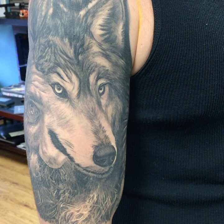 양, 늑대, 늑대인간, Animal, 여우, 멧돼지