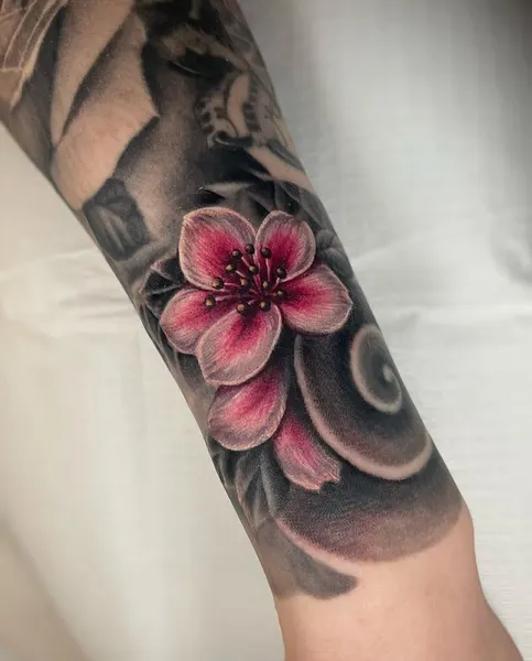매화, Flower, Rose