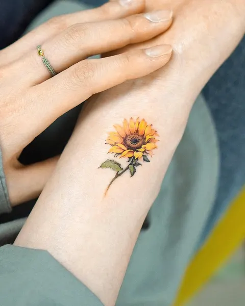 Flower, 해바라기, 데이지