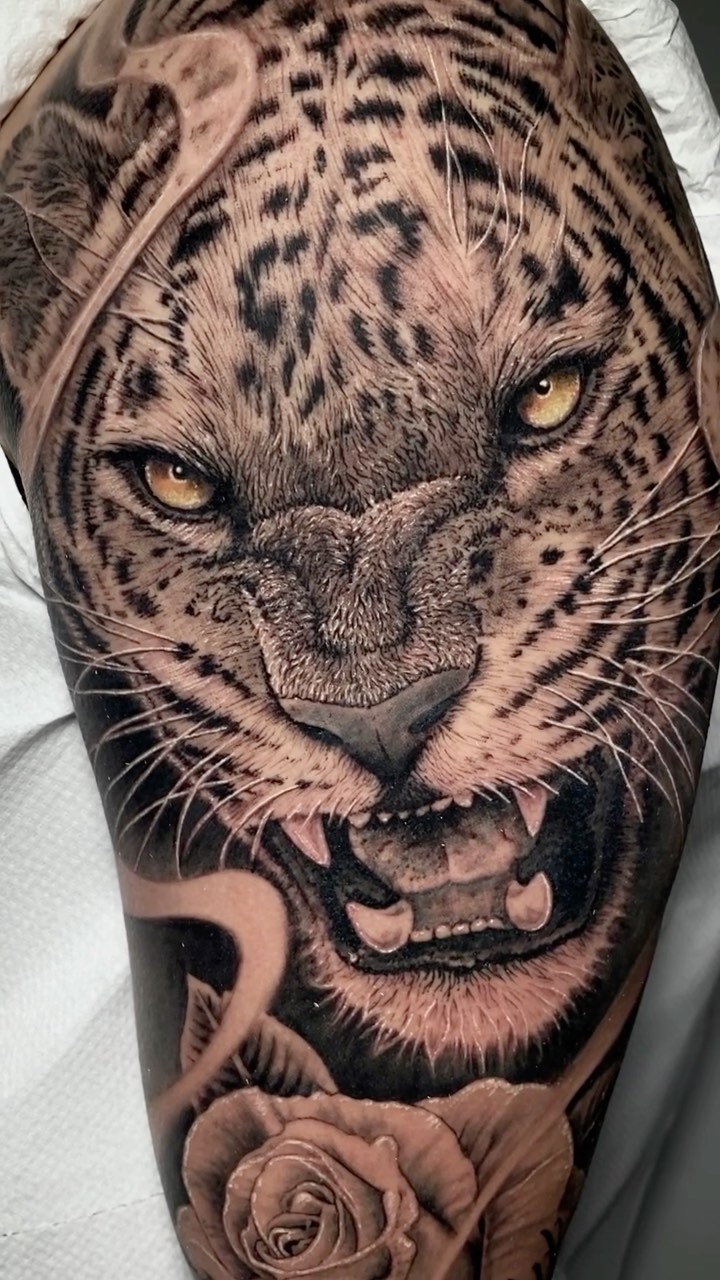 Animal, 표범, 재규어