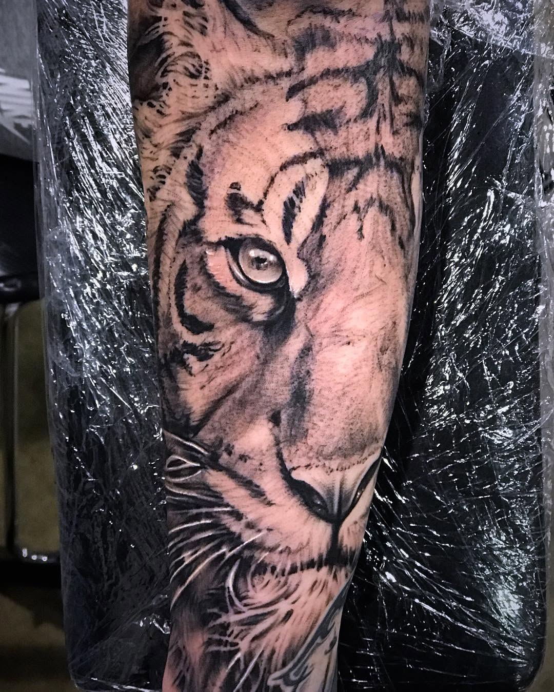 Tiger, 일본 호랑이