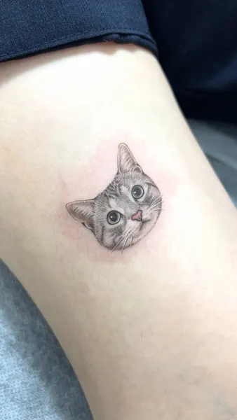고양이