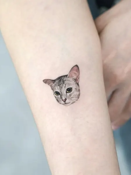 고양이, 여우 가면