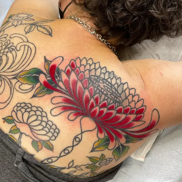 Flower, Nature, Rose