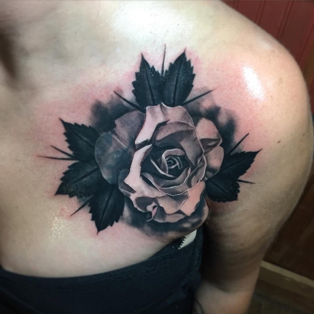 Flower, Rose, Nature