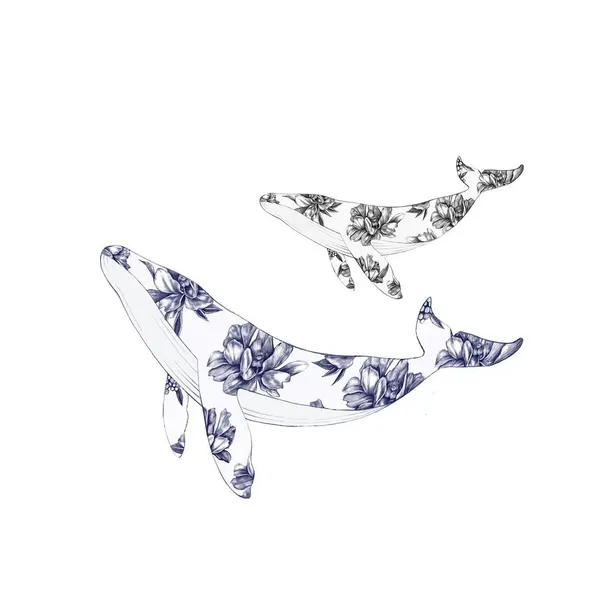 Animal, Nature