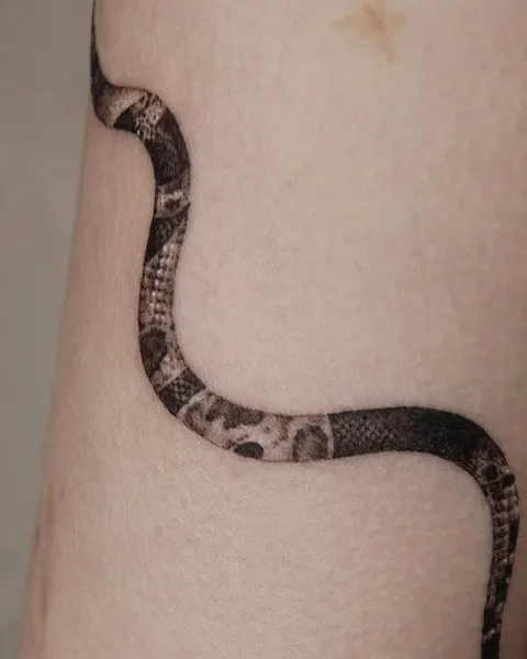 Snake, 지네