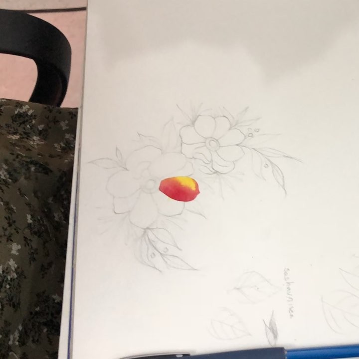 Flower, Rose