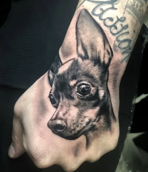 Animal