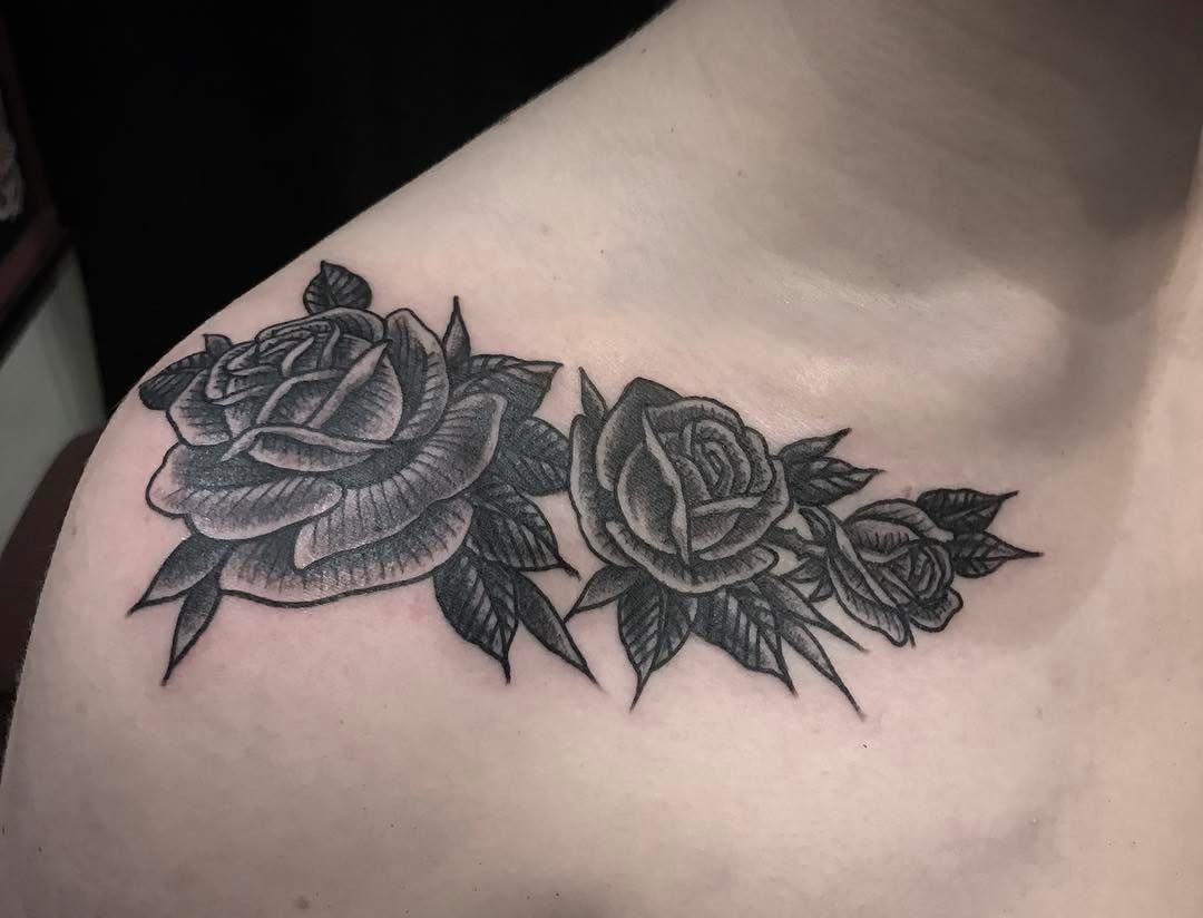 Flower, Rose, Nature