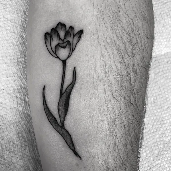 Flower, 튤립